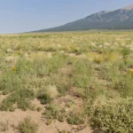 Gallery thumbnail: No HOA • Corner Oversized Lot • 5.76 Acres • CO0001