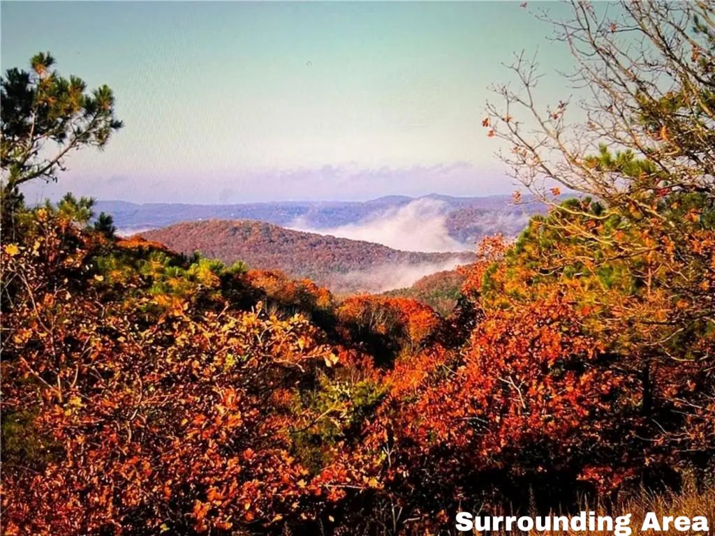 Wooded Hillside Views • Backing Seasonal Creek • With Utilities Nearby • AR0002