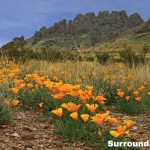 Gallery thumbnail: 1.00 Acre • Preconstruction Mueller Hypersteel 24’x24’ Building Included • Land for Sale in Luna County, New Mexico • NM0002