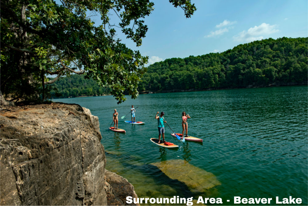 Wooded Hillside Views • Backing Seasonal Creek • With Utilities Nearby • AR0002