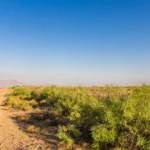 Gallery thumbnail: 1.00 Acres • Expansive High Desert Views + 2 Lands for the Price of 1! • Land for Sale in Luna County, New Mexico • NM0017