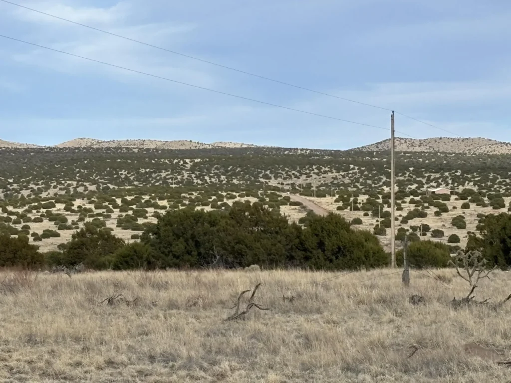 2.87 Acres • No Restrictions + Power at the Lot Line! • Land for Sale in Socorro County, New Mexico • NM0008