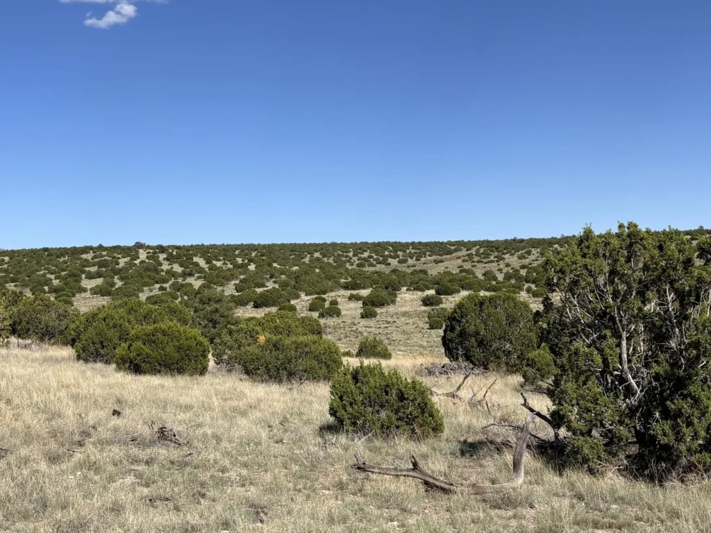 2.87 Acres • No Restrictions + Power at the Lot Line! • Land for Sale in Socorro County, New Mexico • NM0008