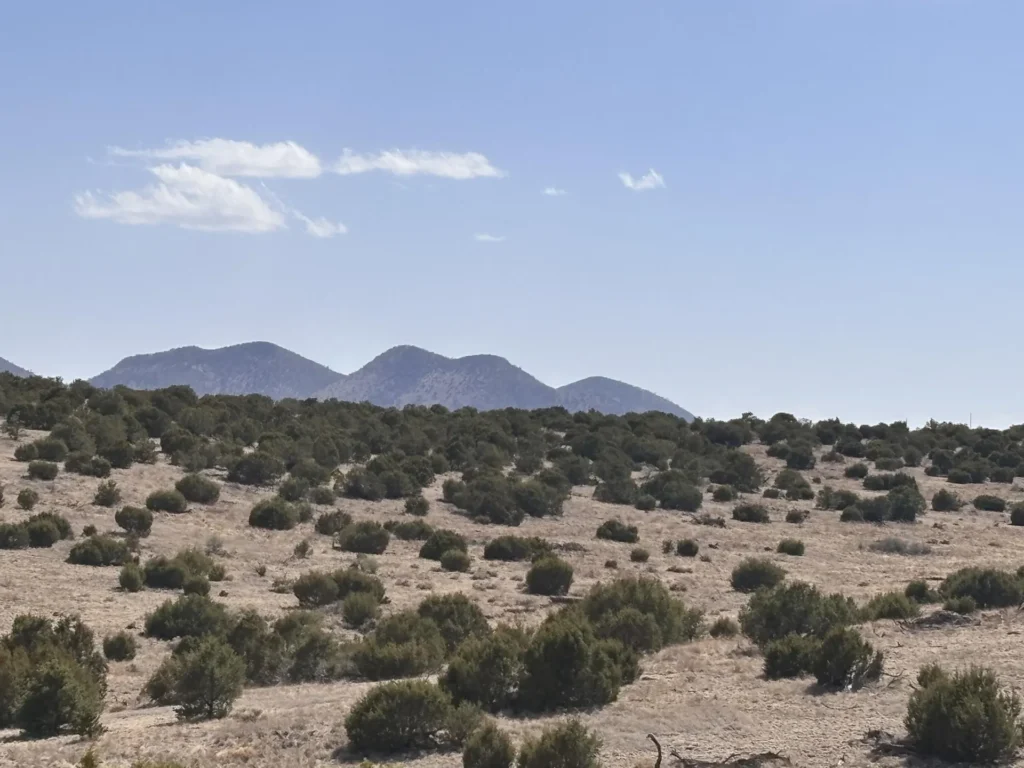 2.87 Acres • No Restrictions + Power at the Lot Line! • Land for Sale in Socorro County, New Mexico • NM0008
