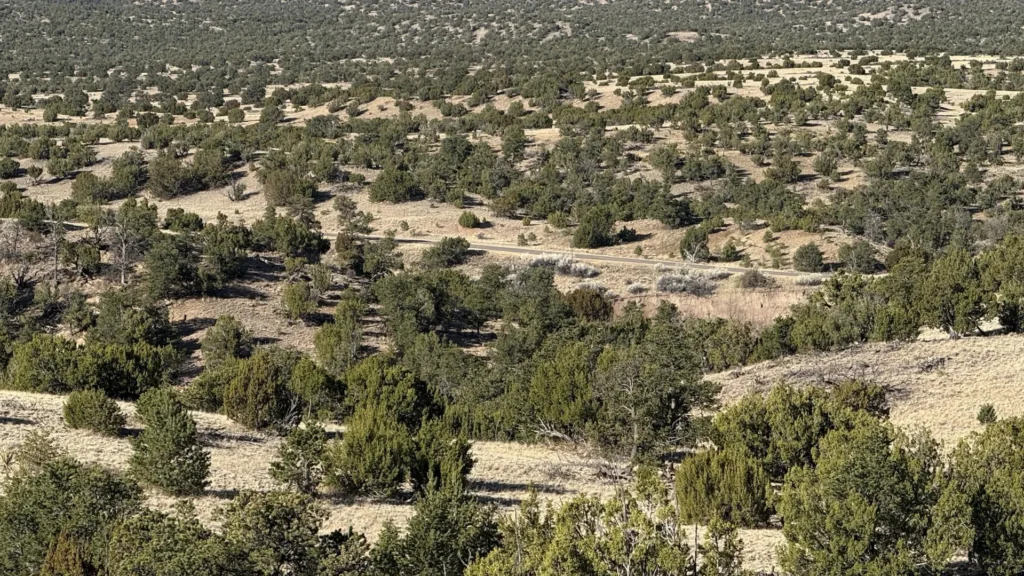 2.87 Acres • No Restrictions + Power at the Lot Line! • Land for Sale in Socorro County, New Mexico • NM0008
