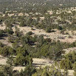 Gallery thumbnail: 2.87 Acres • No Restrictions + Power at the Lot Line! • Land for Sale in Socorro County, New Mexico • NM0008