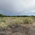 Gallery thumbnail: Privacy, Space, and Endless Possibilities! • Unrestricted 5.00-Acres Land for Sale near Bosque, NM• NM0025