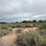 Gallery thumbnail: Privacy, Space, and Endless Possibilities! • Unrestricted 5.00-Acres Land for Sale near Bosque, NM• NM0025