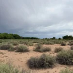 Gallery thumbnail: Privacy, Space, and Endless Possibilities! • Unrestricted 5.00-Acres Land for Sale near Bosque, NM• NM0025