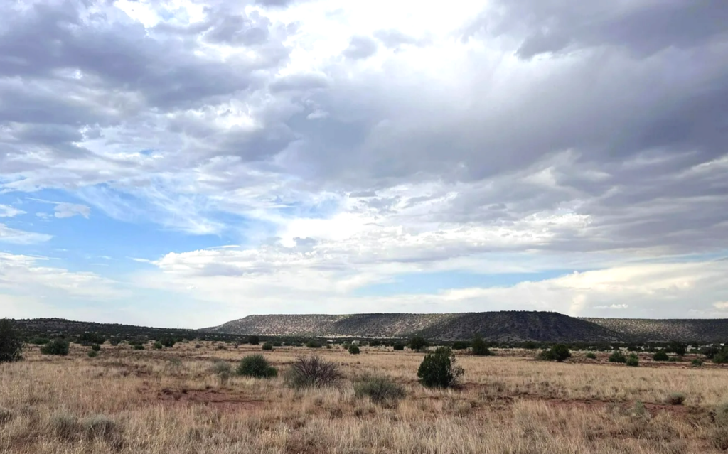 1.18 Acres • Private, Elevated, Peaceful + Backs Up the Mountains • Land for Sale in Navajo County, Arizona • AZ0008