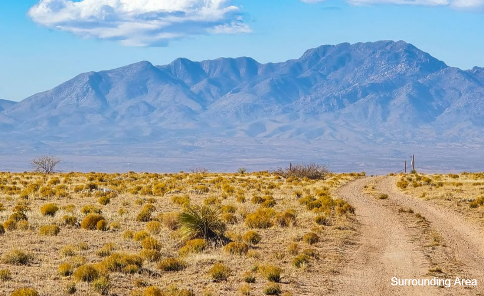 No Restrictions! • With Heritage Stock Tank • 10 Acres • NM0003