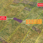 Gallery thumbnail: 1.18 Acres • Private, Elevated, Peaceful + Backs Up the Mountains • Land for Sale in Navajo County, Arizona • AZ0008
