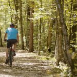 Gallery thumbnail: 0.24 Acre • Gated Community Stability + Utilities at the Street • Land for Sale in Garland County, Arkansas • AR0007