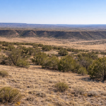 Gallery thumbnail: 1.18 Acres • Private, Elevated, Peaceful + Backs Up the Mountains • Land for Sale in Navajo County, Arizona • AZ0008