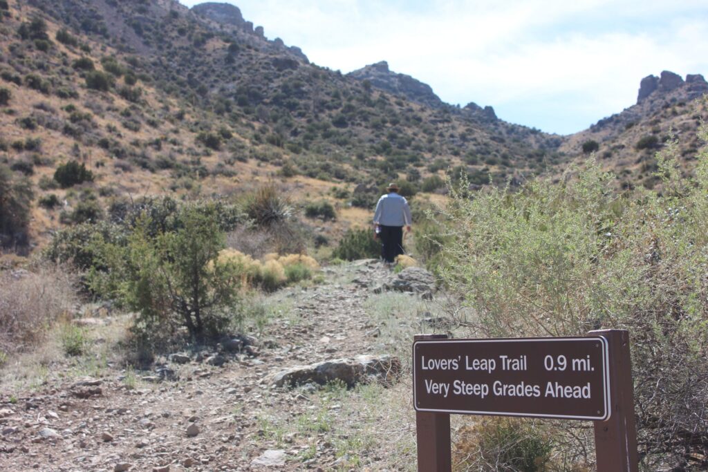 1.00 Acre • Scenic High-Desert Views • Land for Sale in Luna County, New Mexico • NM0004