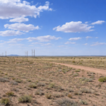 Gallery thumbnail: Privacy, Space, and Endless Possibilities! • Unrestricted 5.00-Acres Land for Sale near Bosque, NM• NM0025
