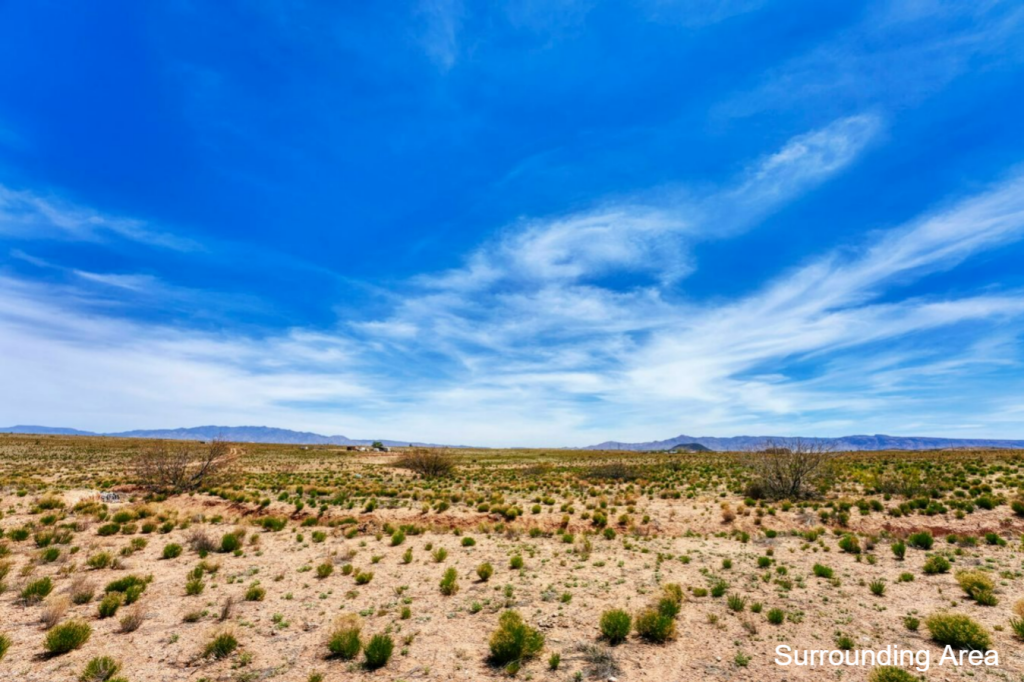 No Restrictions! • With Heritage Stock Tank • 10 Acres • NM0003