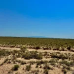 Gallery thumbnail: Privacy, Space, and Endless Possibilities! • Unrestricted 5.00-Acres Land for Sale near Bosque, NM• NM0025