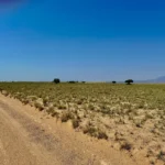 Gallery thumbnail: Privacy, Space, and Endless Possibilities! • Unrestricted 5.00-Acres Land for Sale near Bosque, NM• NM0025