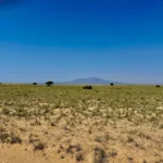 Gallery thumbnail: Privacy, Space, and Endless Possibilities! • Unrestricted 5.00-Acres Land for Sale near Bosque, NM• NM0025