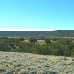 Gallery thumbnail: 1.18 Acres • Private, Elevated, Peaceful + Backs Up the Mountains • Land for Sale in Navajo County, Arizona • AZ0008