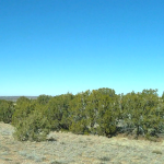 Gallery thumbnail: 1.18 Acres • Private, Elevated, Peaceful + Backs Up the Mountains • Land for Sale in Navajo County, Arizona • AZ0008