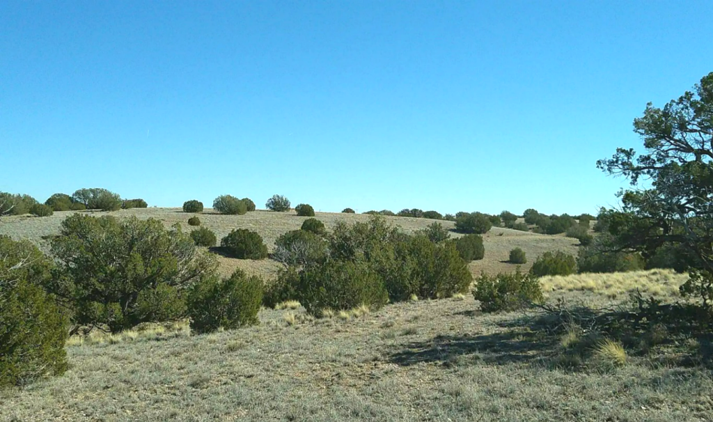 1.18 Acres • Private, Elevated, Peaceful + Backs Up the Mountains • Land for Sale in Navajo County, Arizona • AZ0008