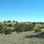 Gallery thumbnail: 1.18 Acres • Private, Elevated, Peaceful + Backs Up the Mountains • Land for Sale in Navajo County, Arizona • AZ0008