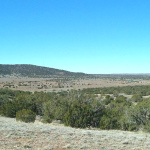 Gallery thumbnail: 1.18 Acres • Private, Elevated, Peaceful + Backs Up the Mountains • Land for Sale in Navajo County, Arizona • AZ0008