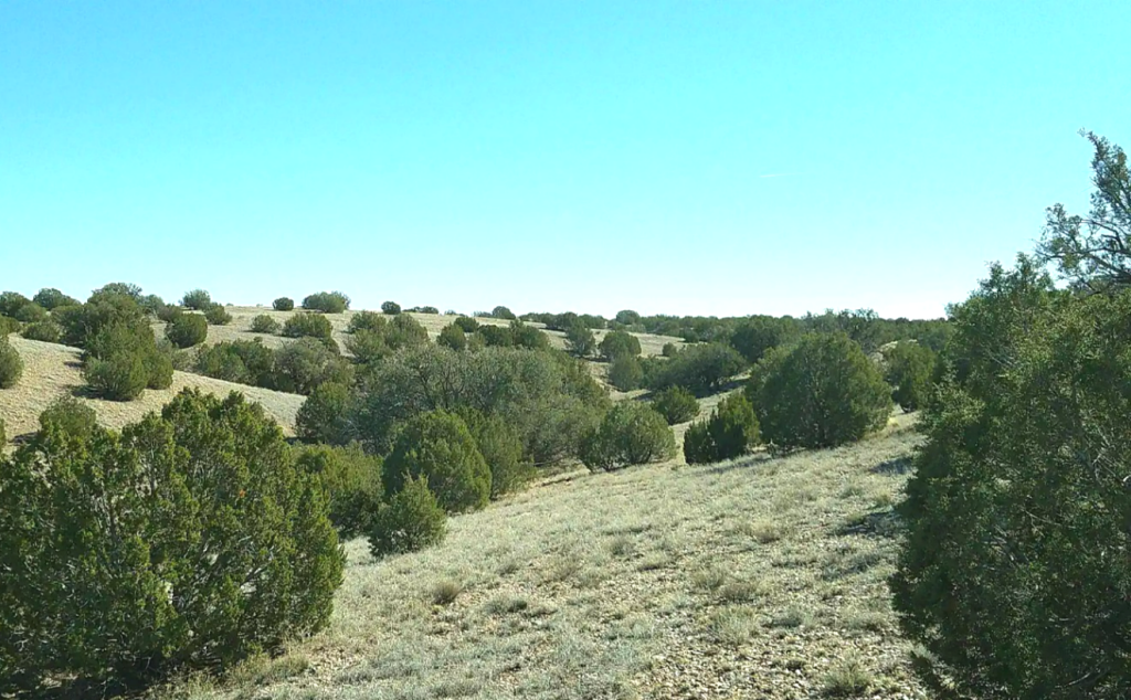 1.18 Acres • Private, Elevated, Peaceful + Backs Up the Mountains • Land for Sale in Navajo County, Arizona • AZ0008