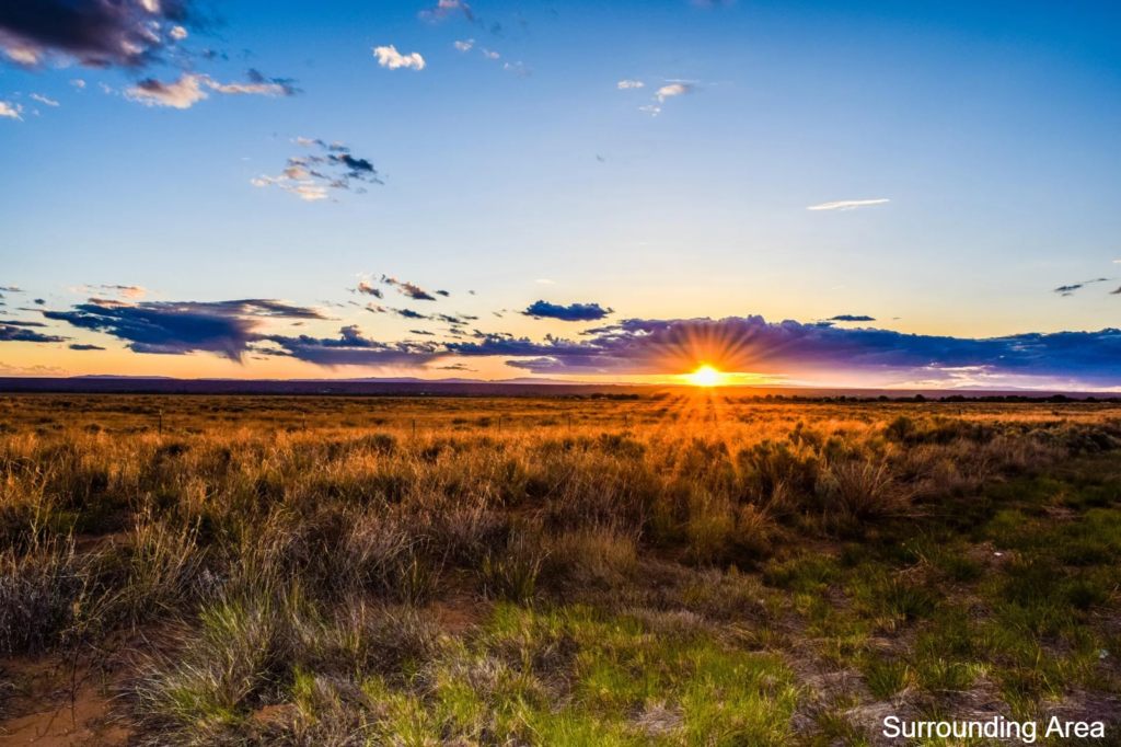 No HOA • 20 Acres with Wells Nearby • Chupadera Mountain Views • Total Freedom! • NM0015