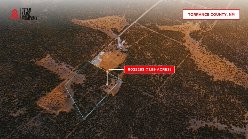 No HOA • Power Close • Wide Open 11.89 Acres Near Albuquerque • NM0010