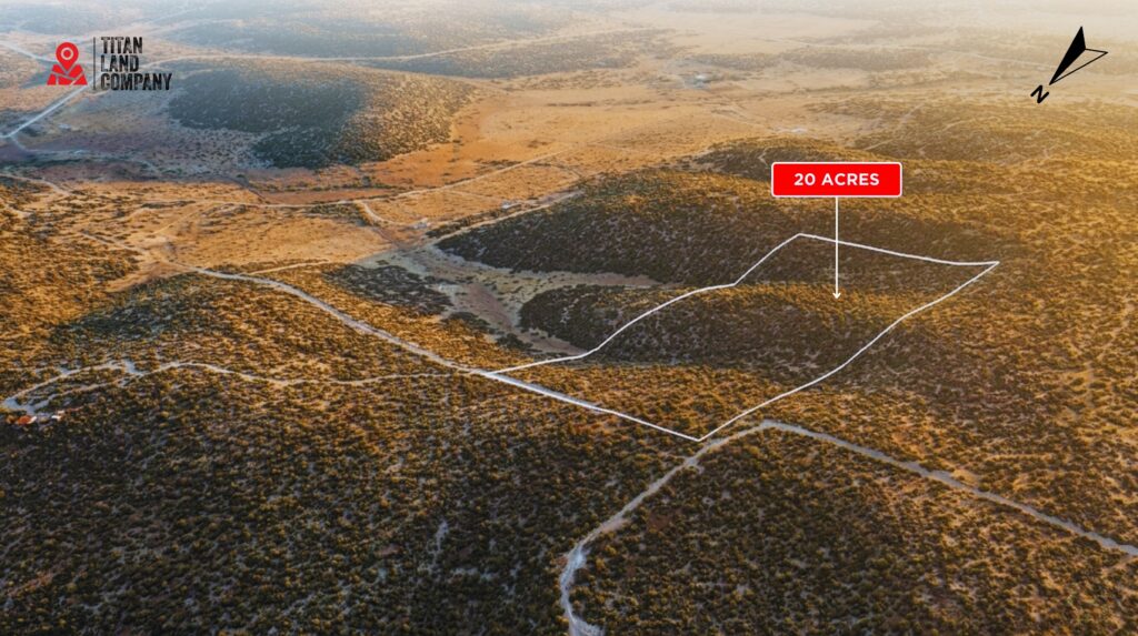 20.00 Acres • Perfect Blend of Scale and Scenery! • Land for Sale in Torrance County, New Mexico • NM0021
