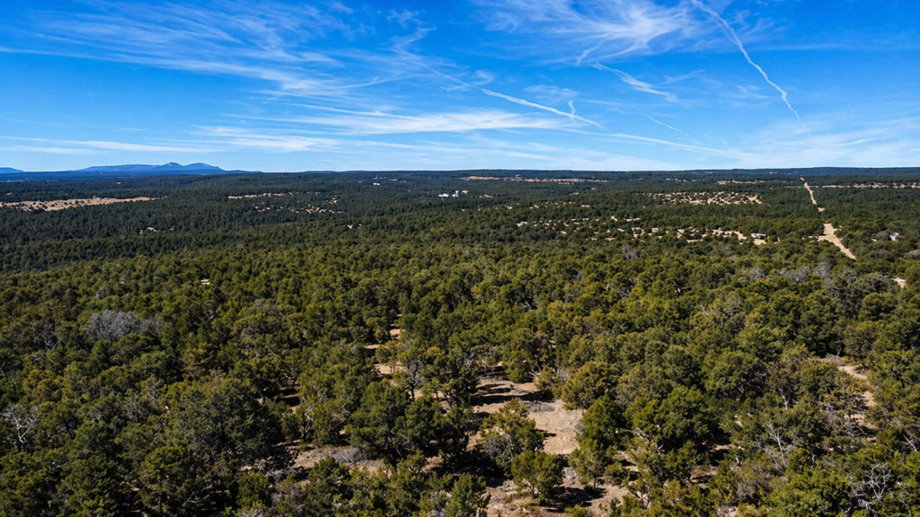 20.00 Acres • Perfect Blend of Scale and Scenery! • Land for Sale in Torrance County, New Mexico • NM0021