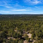 Gallery thumbnail: 20.00 Acres • Perfect Blend of Scale and Scenery! • Land for Sale in Torrance County, New Mexico • NM0021