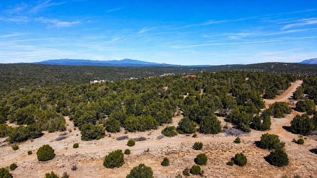 20.00 Acres • Perfect Blend of Scale and Scenery! • Land for Sale in Torrance County, New Mexico • NM0021