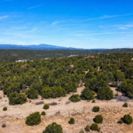 Gallery thumbnail: 20.00 Acres • Perfect Blend of Scale and Scenery! • Land for Sale in Torrance County, New Mexico • NM0021