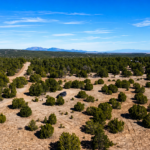 Gallery thumbnail: 20.00 Acres • Perfect Blend of Scale and Scenery! • Land for Sale in Torrance County, New Mexico • NM0021