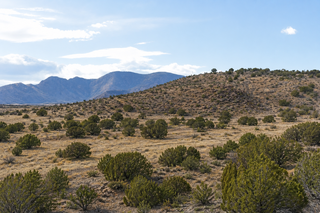 22.09 Acres •  Bordering Cibola National Forest— Ride Endless Trails! • Land for Sale in Socorro County, New Mexico • NM0019