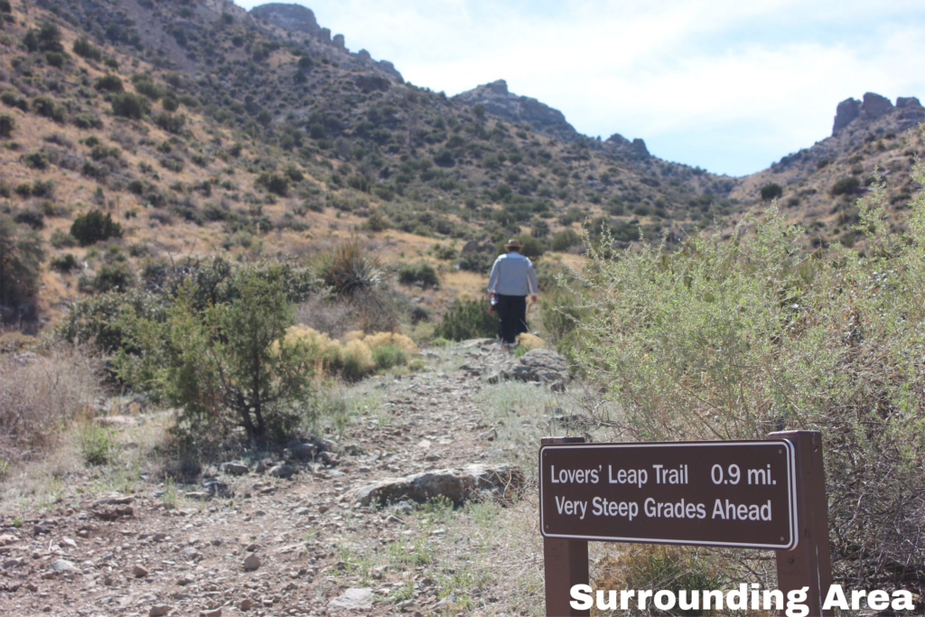 1.00 Acre of High Desert Views Land for Sale near Deming, NM • NM0020
