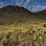 Gallery thumbnail: 0.50 Acre • Near Rockhound State Park & Hiking Trails • Land for Sale in Luna County, New Mexico • NM0023