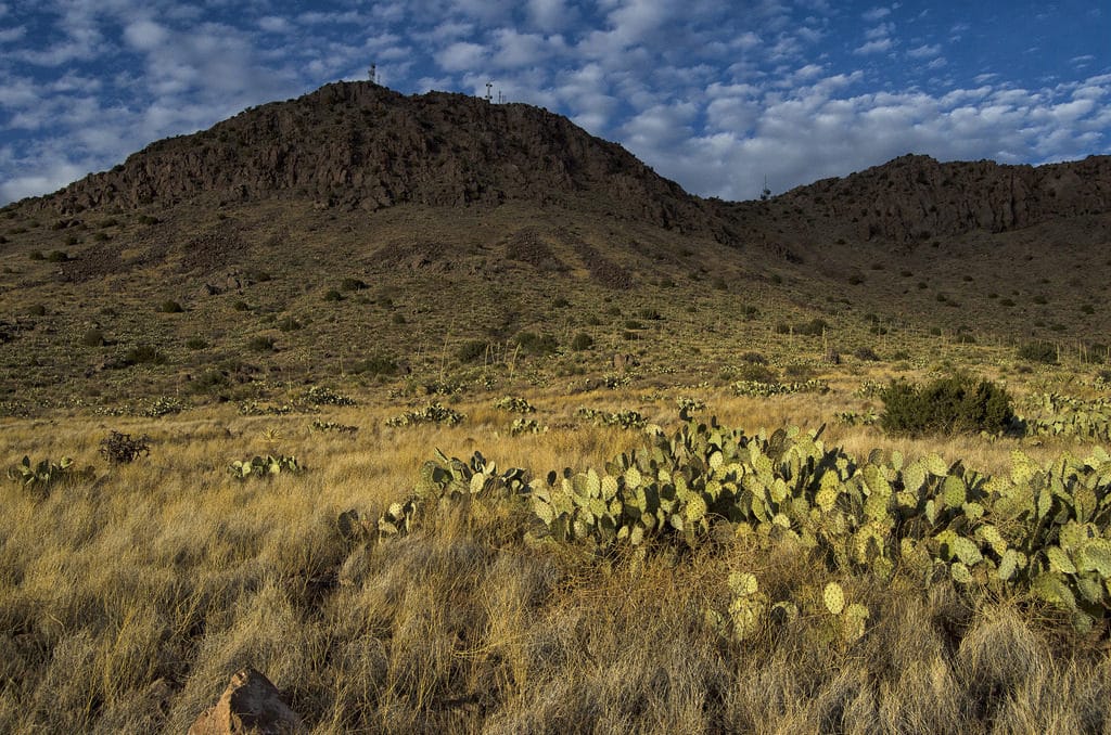 1.00 Acres • Wide Desert Views • Land for Sale in Luna County, New Mexico • NM0029