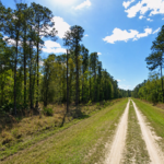 Gallery thumbnail: 0.23 Acre • Fishing & Boating Access Nearby! • Land for Sale in Putnam County, Florida • FL0001