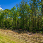 Gallery thumbnail: 0.23 Acre • Fishing & Boating Access Nearby! • Land for Sale in Putnam County, Florida • FL0001