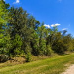 Gallery thumbnail: 0.23 Acre • Fishing & Boating Access Nearby! • Land for Sale in Putnam County, Florida • FL0001