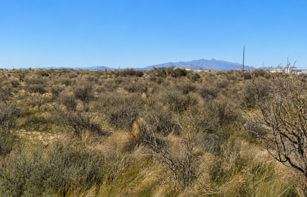 1.00 Acres • Wide Desert Views • Land for Sale in Luna County, New Mexico • NM0029