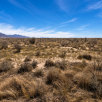 Gallery thumbnail: 0.50 Acre • Near Rockhound State Park & Hiking Trails • Land for Sale in Luna County, New Mexico • NM0023