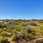 Gallery thumbnail: 2.50 Acres • 5 Adjacent Lots Near Hiking Trails • Land for Sale in Luna County, New Mexico • NM0028