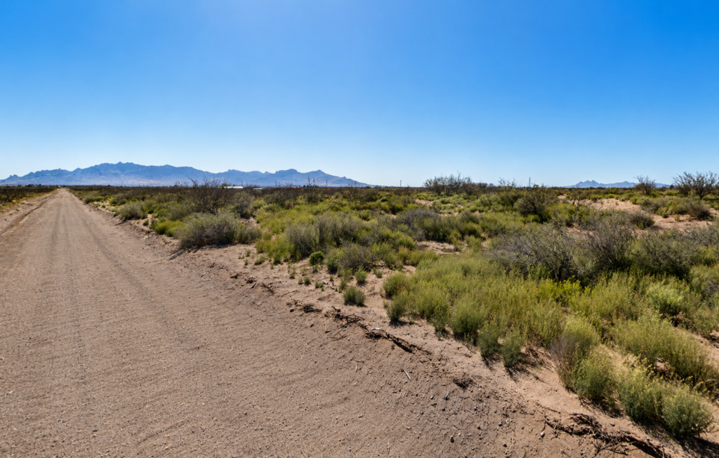 2.50 Acres • 5 Adjacent Lots Near Hiking Trails • Land for Sale in Luna County, New Mexico • NM0028