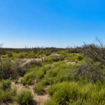 Gallery thumbnail: 2.50 Acres • 5 Adjacent Lots Near Hiking Trails • Land for Sale in Luna County, New Mexico • NM0028